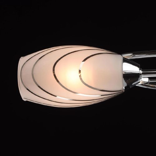 Потолочная люстра MW-Light Фиеста 267011705 Потолочная люстра MW-Light Фиеста 267011705