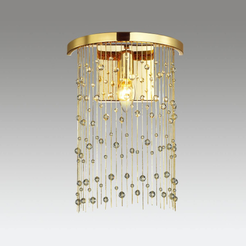 Настенный светильник Odeon Light Raini 4844/1W