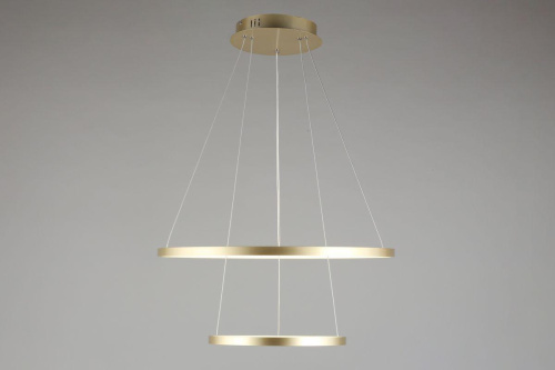 Подвесной светодиодный светильник Aployt Lunet APL.014.03.60