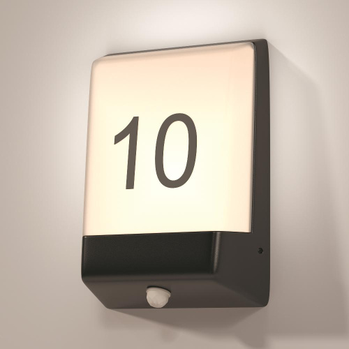 Настенный светильник (бра) Outdoor O448WL-L9GF3KSR Настенный светильник (бра) Outdoor O448WL-L9GF3KSR