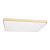 Потолочный светодиодный светильник Loft IT Flims 10228/E