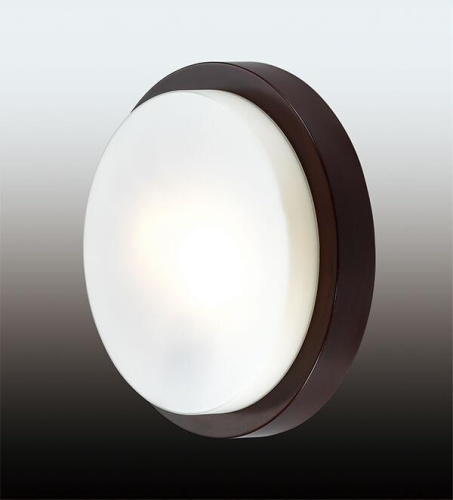Настенный светильник Odeon Light Holger 2744/2C