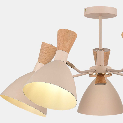 Потолочная люстра Evoluce Vista SLE1256-502-05