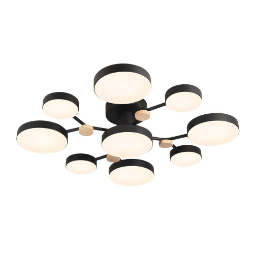 Потолочный светильник LED4U L3201-780 BK