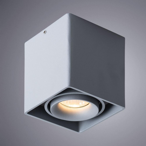 Потолочный светильник Arte Lamp Pictor A5654PL-1GY Потолочный светильник Arte Lamp Pictor A5654PL-1GY