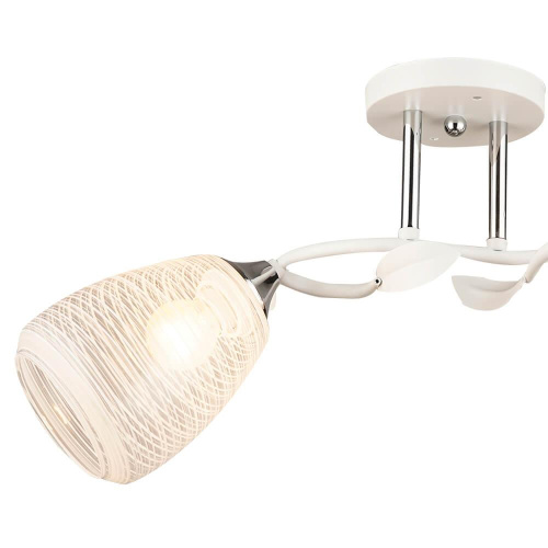 Потолочная люстра Wedo Light Albenga 66423.01.64.02