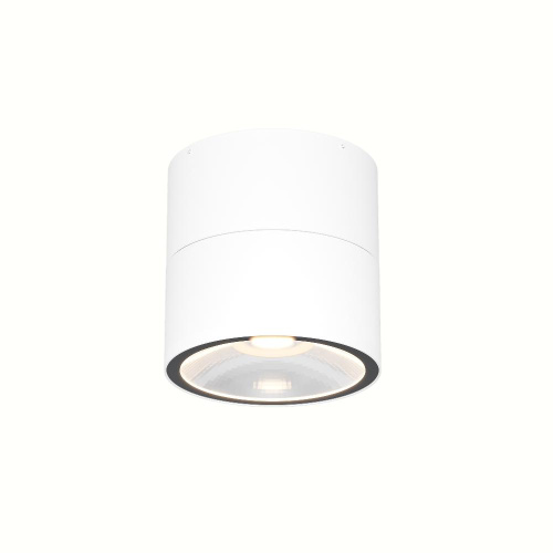 Потолочный светильник Outdoor O310CL-L12W3K