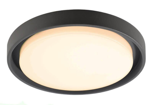 Уличный настенный светильник Deko-Light Ascella 348069