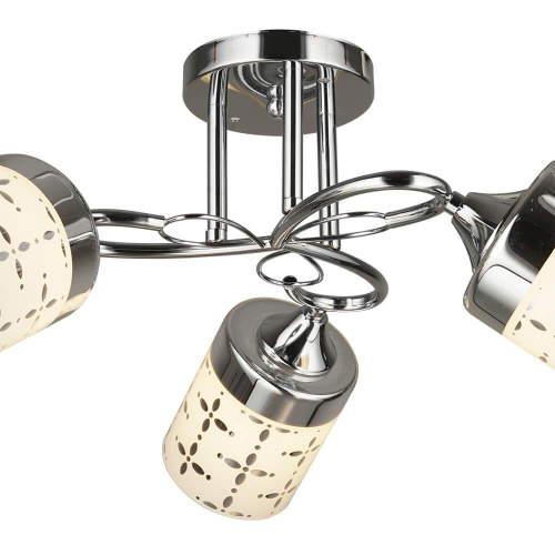 Потолочная люстра Wedo Light Karnago 66550.01.03.03