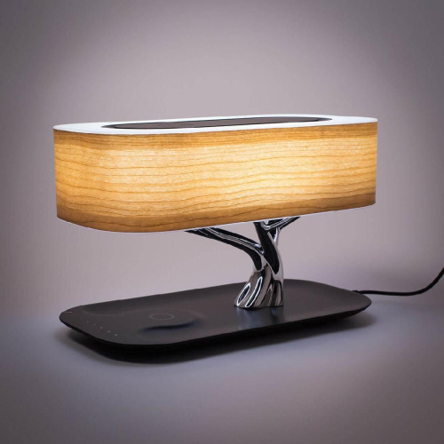 Настольная лампа Citilux Ньютон CL803042