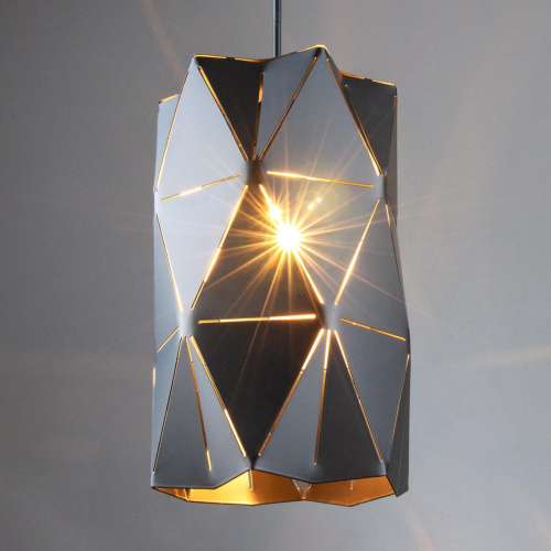 Подвесной светильник Eurosvet 50145/1 черный Подвесной светильник Eurosvet 50145/1 черный