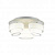 Потолочная люстра ST Luce Ovale SL546.502.03