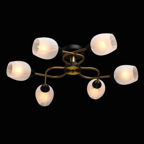 Потолочная люстра MW-Light Олимпия 638018406 Потолочная люстра MW-Light Олимпия 638018406