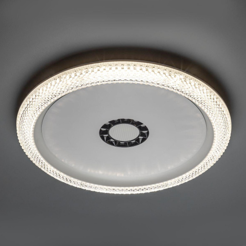 Потолочный светодиодный светильник Ritter Galassia 51577 1