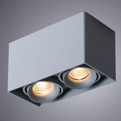 Потолочный светильник Arte Lamp Pictor A5654PL-2GY Потолочный светильник Arte Lamp Pictor A5654PL-2GY