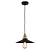 Подвесной светильник Lussole Loft New York GRLSP-9600
