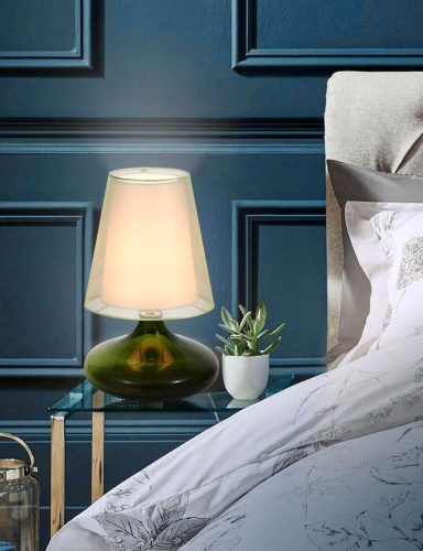 Настольная лампа ST Luce Ampolla SL974.904.01