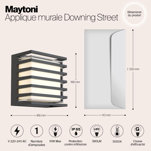 Уличный настенный светодиодный светильник Maytoni Downing Street O020WL-L10B4K