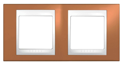 Рамка 2-постовая Schneider Electric Unica Хамелеон MGU6.004.869