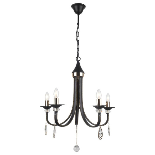 Подвесная люстра Arte Lamp Dallas A8540LM-5BK Подвесная люстра Arte Lamp Dallas A8540LM-5BK
