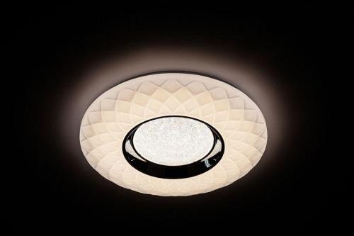 Потолочный светодиодный светильник Escada 10219/S LED