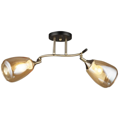 Потолочная люстра Wedo Light Иллази 66277.01.37.02