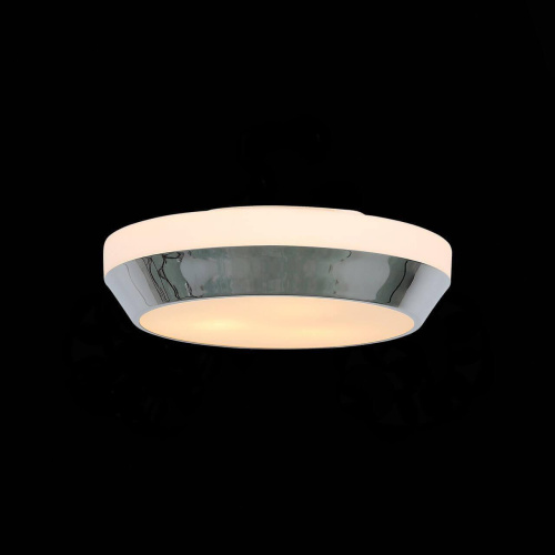 Потолочный светильник ST Luce Bagno SL469.502.02