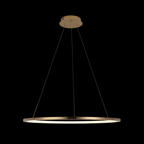 Подвесной светодиодный светильник Loft IT Ring 10014L