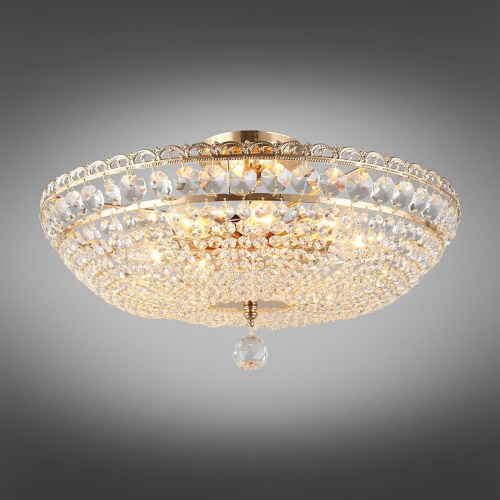 Потолочная люстра Aployt Wiga APL.758.17.09