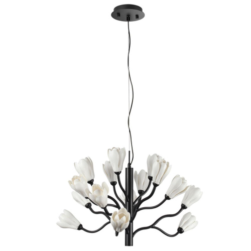 Подвесная люстра Odeon Light Modern Gardi 5090/15 Подвесная люстра Odeon Light Modern Gardi 5090/15