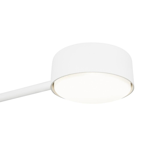Потолочный светильник Freya FR5363CL-02W1 Потолочный светильник Freya FR5363CL-02W1