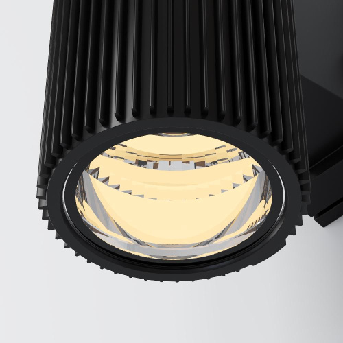 Настенный светильник Maytoni Outdoor O419WL-02B