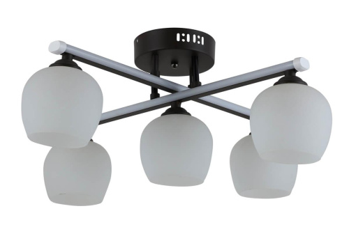 Потолочная люстра Rivoli Terni 6029-305 Б0044800