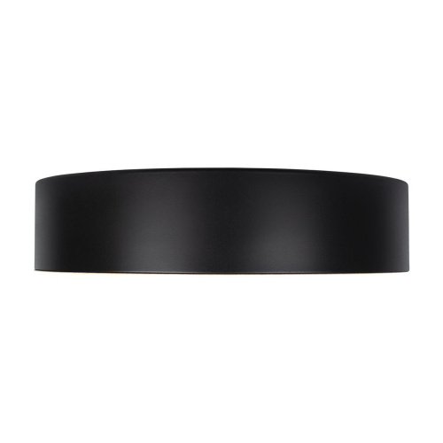 Потолочный светодиодный светильник Loft IT Coin 10202 Black Потолочный светодиодный светильник Loft IT Coin 10202 Black