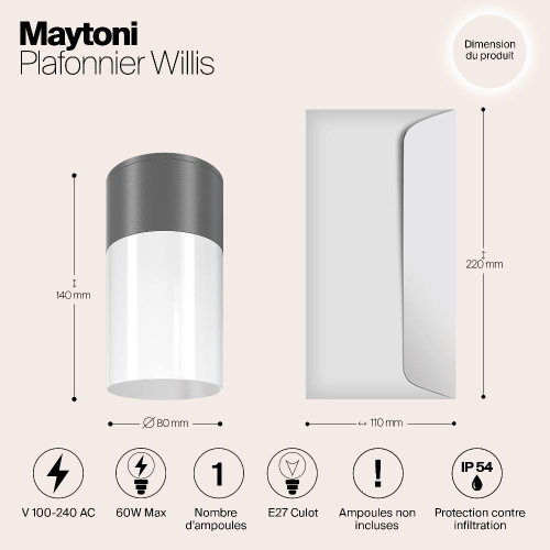 Уличный светильник Maytoni Willis O418CL-01GR