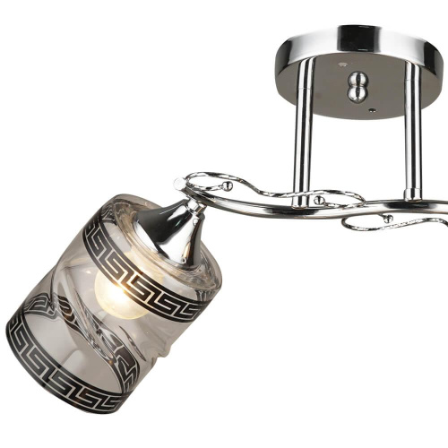 Потолочная люстра Wedo Light Альдено 66365.01.03.02