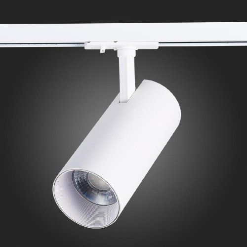 Трековый светодиодный светильник ST Luce Mono ST350.546.30.24