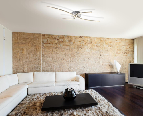 Потолочный светодиодный светильник Globo Nika 67086