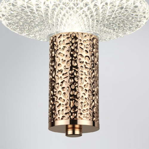 Подвесной светодиодный светильник Lumion Ledio Cristie 8009/6L