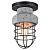 Потолочный светильник Lussole Loft LSP-9701