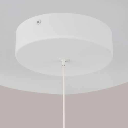 Подвесной светодиодный светильник Maytoni Ray P021PL-L10W