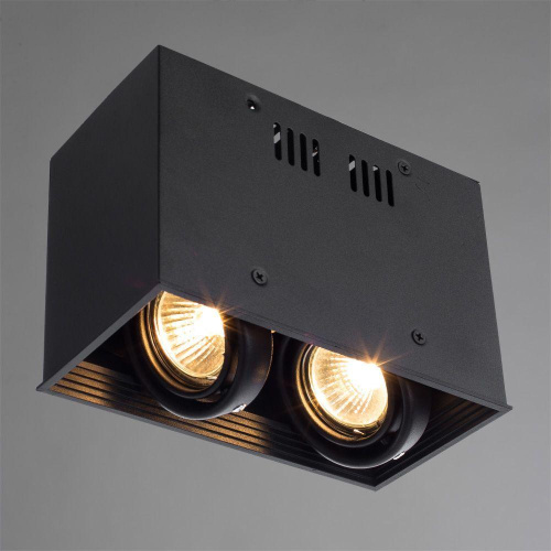 Потолочный светильник Arte Lamp Cardani A5942PL-2BK