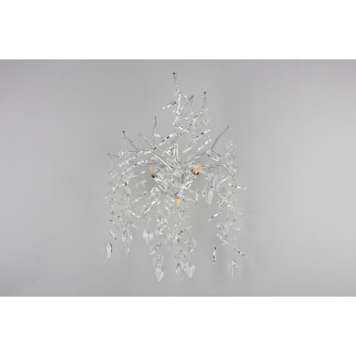 Настенный светильник Aployt Gertunia APL.847.11.03