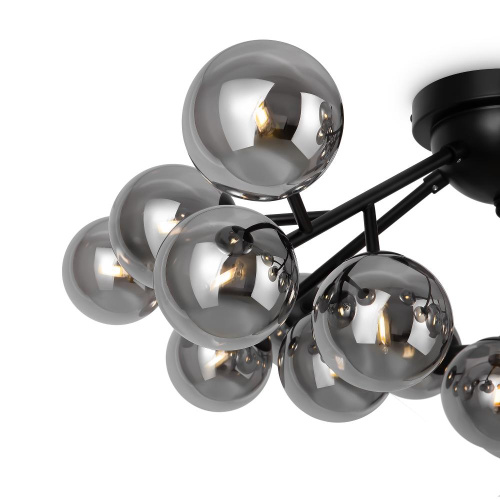 Потолочный светильник Maytoni MOD545CL-20B Потолочный светильник Maytoni MOD545CL-20B