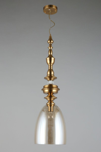 Подвесной светильник Aployt Rena APL.602.06.01