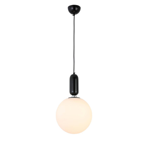 Подвесной светильник ST Luce Rietta SL1220.403.01