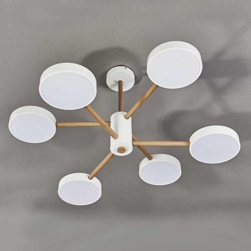 Потолочная светодиодная люстра Escada Astrid 10236/6LED