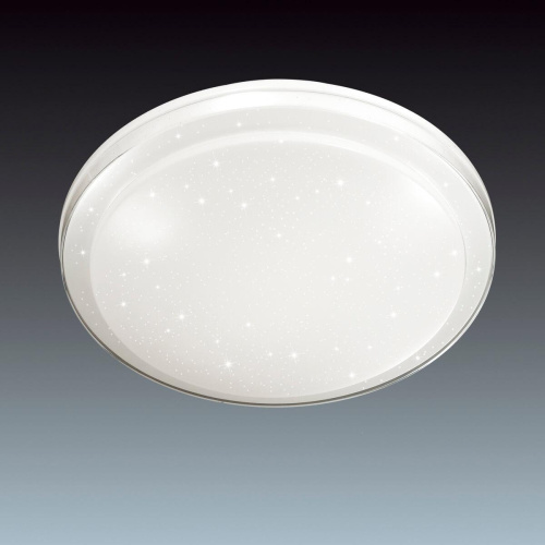 Настенно-потолочный светодиодный светильник Sonex Pale Kasta 2015/E