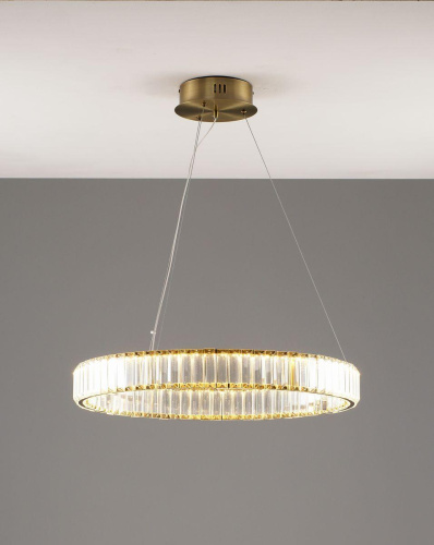 Подвесной светодионый светильник Moderli Asti V10730-PL