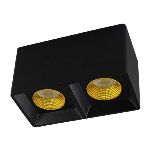 Потолочный светильник Denkirs DK3020BYE DK3085-BK+YE